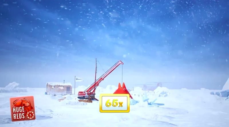 Come piazzare una puntata in Ice Fishing Live: tre approcci pratici